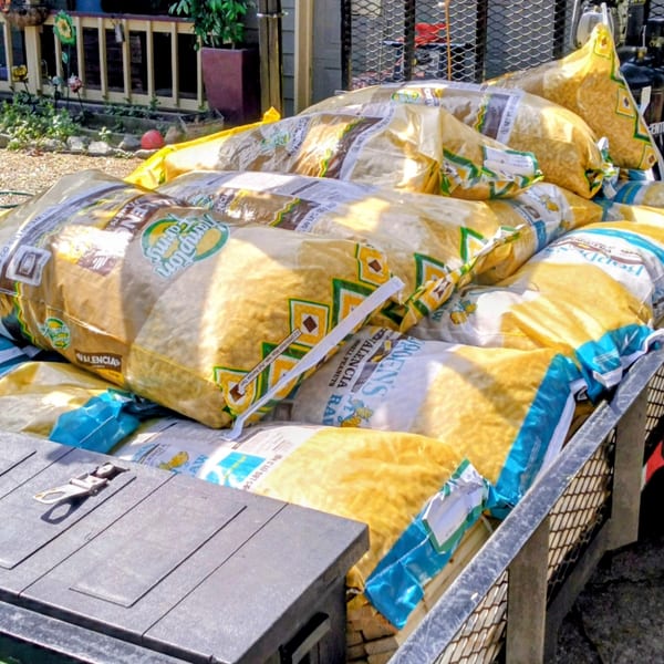 Numerous large bags of Valencia peanuts from Hampton Farms are stacked in a trailer.